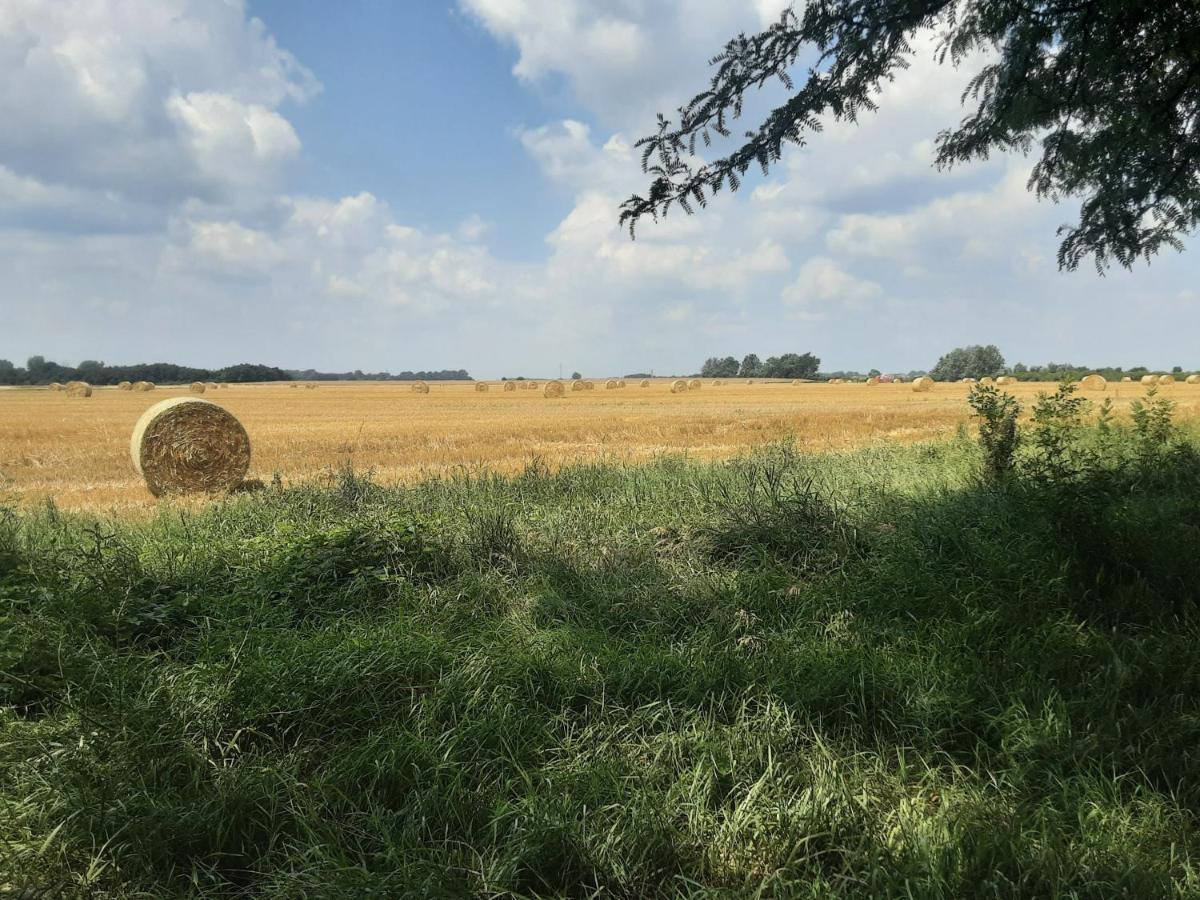 Herberg Tisza Tiszabábolna Eksteriør bilde